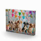 Schattigee Puppies Verjaardagsfeest Celebration De Fotoblokken (Rechts)