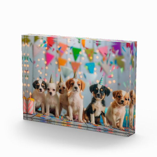 Schattigee Puppies Verjaardagsfeest Celebration De Fotoblokken (Rechts)