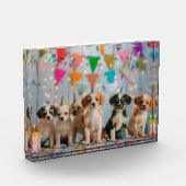 Schattigee Puppies Verjaardagsfeest Celebration De Fotoblokken (Links)