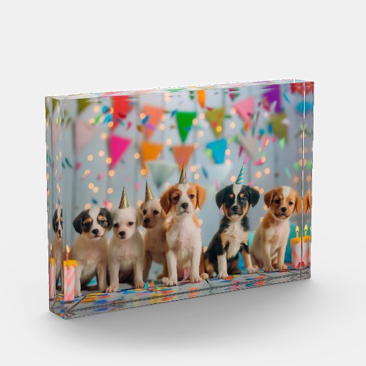 Schattigee Puppies Verjaardagsfeest Celebration De Fotoblokken (Links)