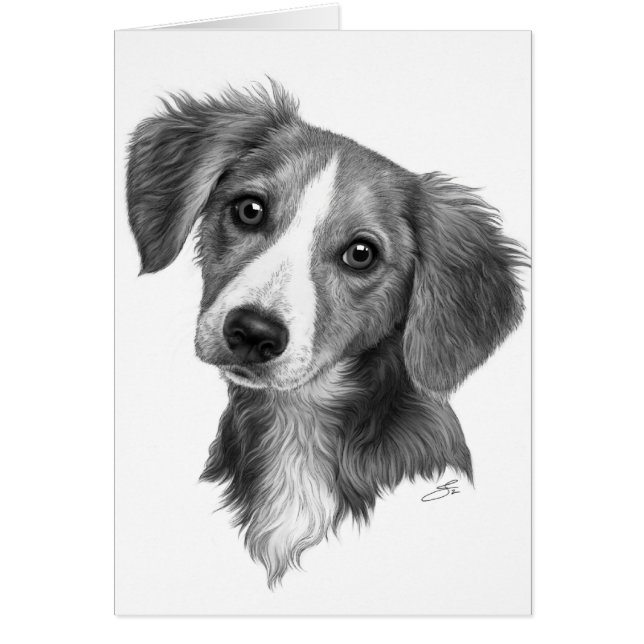 Schattigee Puppy! (Voorkant)