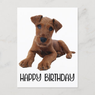 Schattigee puppy Airedale Terrier Verjaardag Briefkaart
