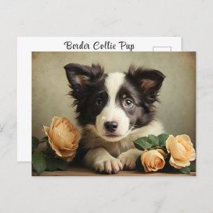 Schattigee Puppy Border Collie Roos Portret Hond Briefkaart