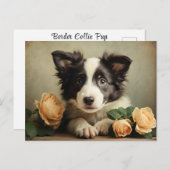  Schattigee Puppy Border Collie Roos Portret Hond Briefkaart (Voorkant / Achterkant)