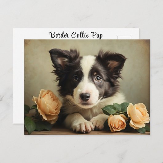 Schattigee Puppy Border Collie Roos Portret Hond Briefkaart (Voorkant / Achterkant)