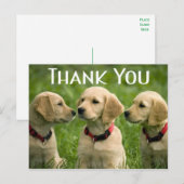 Schattigee Puppy Dog Golden Retriever Bedankt Briefkaart (Voorkant / Achterkant)