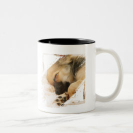 Schattigee Puppy Dog Halloween Custom Tweekleurige Koffiemok