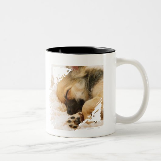 Schattigee Puppy Dog Halloween Custom Tweekleurige Koffiemok (Rechts)