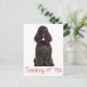 Schattigee Puppy Dog Love Black Poodle Denken aan  Briefkaart (Staand voorkant)
