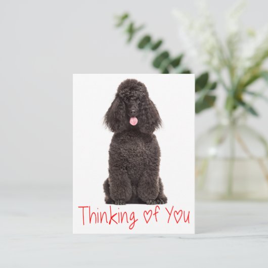 Schattigee Puppy Dog Love Black Poodle Denken aan  Briefkaart (Staand voorkant)