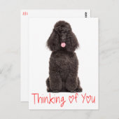 Schattigee Puppy Dog Love Black Poodle Denken aan  Briefkaart (Voorkant / Achterkant)