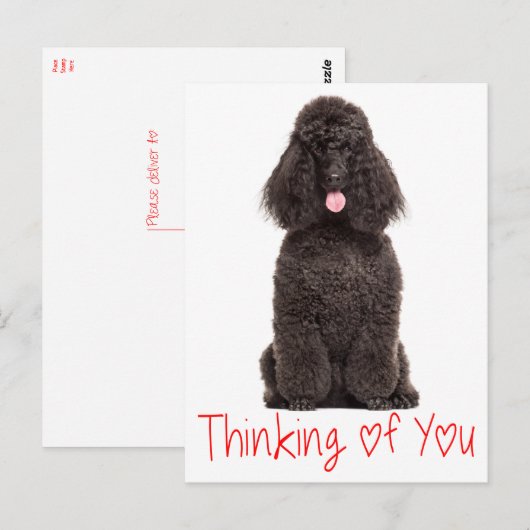 Schattigee Puppy Dog Love Black Poodle Denken aan  Briefkaart (Voorkant / Achterkant)
