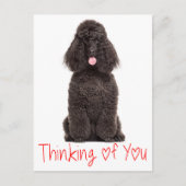 Schattigee Puppy Dog Love Black Poodle Denken aan  Briefkaart (Voorkant)