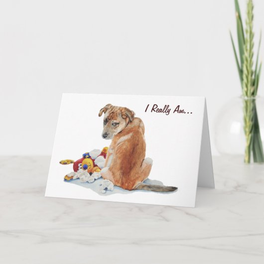 Schattigee puppy en teddy realist hondenkunst sorr kaart (Voorkant)