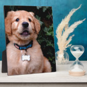 Schattigee puppy Golden Retriever Puppy Fotoplaat (Zijkant)