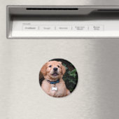 Schattigee puppy Golden Retriever Puppy Magneet (Insitu (Vaatwasser))