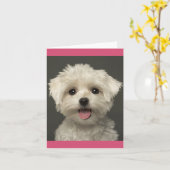 Schattigee puppy hond Blank Maltees Kaart (Gele Bloem)