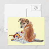 Schattigee puppy hond gemengd ras met teddy realis briefkaart (Voorkant / Achterkant)