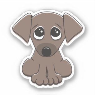 Schattigee puppy hond met grote, bedelende ogen sticker