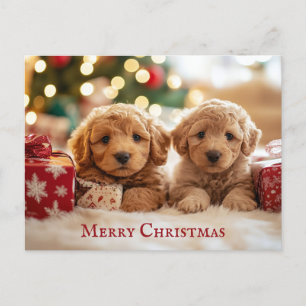 Schattigee puppy hond Vrolijk kerstfeest Briefkaart
