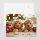 Schattigee puppy hond Vrolijk kerstfeest Briefkaart (Voorkant / Achterkant)