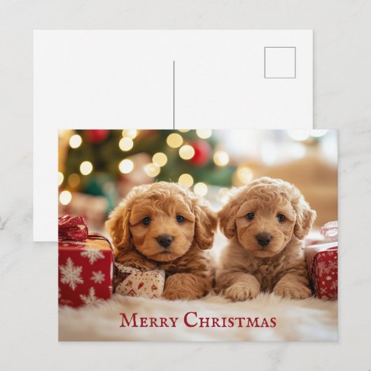Schattigee puppy hond Vrolijk kerstfeest Briefkaart (Voorkant / Achterkant)