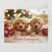 Schattigee puppy hond Vrolijk kerstfeest Briefkaart (Voorkant)