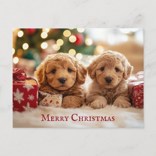 Schattigee puppy hond Vrolijk kerstfeest Briefkaart (Voorkant)