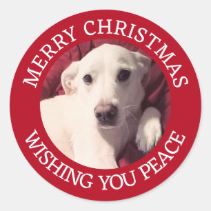 Schattigee puppy hond Vrolijk kerstvrede rood Ronde Sticker