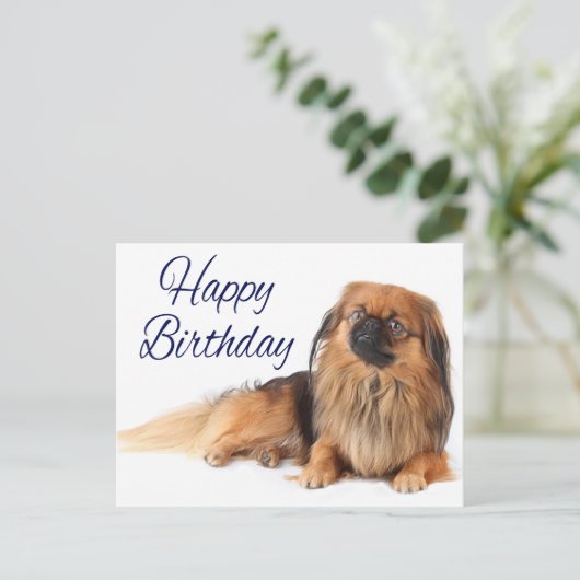 Schattigee Puppy Hondenliefhebber Pekinese Verjaar Briefkaart (Staand voorkant)