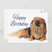 Schattigee Puppy Hondenliefhebber Pekinese Verjaar Briefkaart (Voorkant / Achterkant)