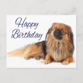 Schattigee Puppy Hondenliefhebber Pekinese Verjaar Briefkaart (Voorkant)