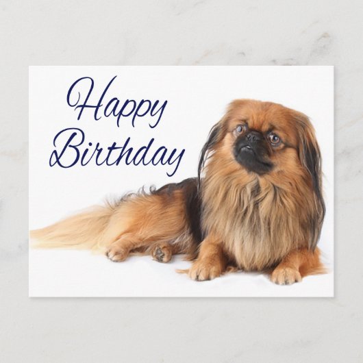 Schattigee Puppy Hondenliefhebber Pekinese Verjaar Briefkaart (Voorkant)