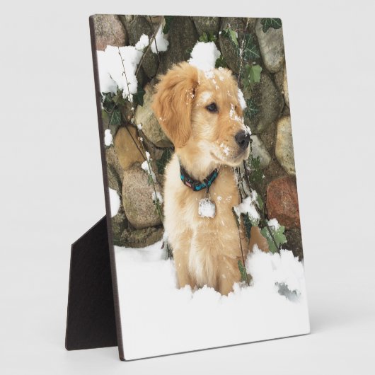 Schattigee Puppy Lab Retriever Fotoplaat (Zijkant)