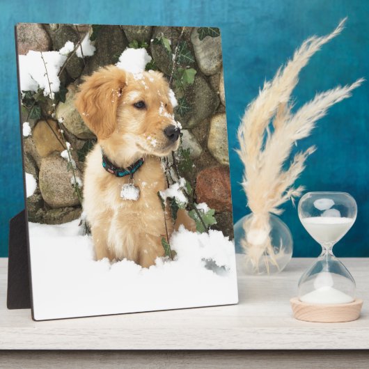 Schattigee Puppy Lab Retriever Fotoplaat (Zijkant)