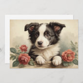  Schattigee Puppy Portret Border Collie Roos Dog Feestdagenkaart (Voorkant / Achterkant)