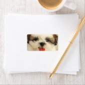 Schattigee puppy shih tzu etiket (Insitu)