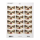 Schattigee puppy shih tzu etiket (Full Sheet)