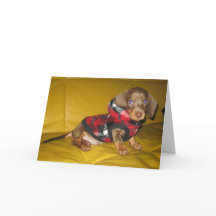 Schattigee puppy teckel blanco wenskaart