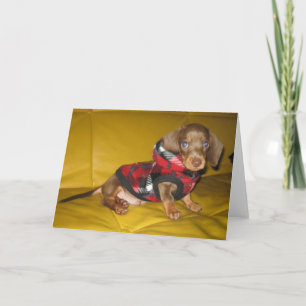 Schattigee puppy teckel blanco wenskaart kaart