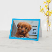 Schattigee puppy wordt gezond kaart (Gele Bloem)