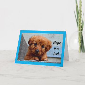 Schattigee puppy wordt gezond kaart