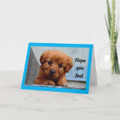 Schattigee puppy wordt gezond kaart (Voorkant)