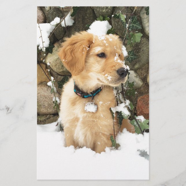 Schattigee puppyfoto (Voorkant)