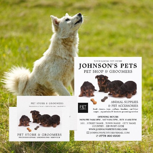 Schattigee pups, dierenwinkel & groomers visitekaartje