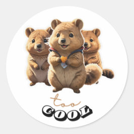 Schattigee Quokka-sticker Ronde Sticker
