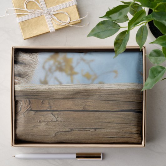 Schattigee Racoon Dier Decoupage Tissuepapier (Geschenk)