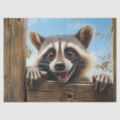 Schattigee Racoon Dier Decoupage Tissuepapier (Voorkant)
