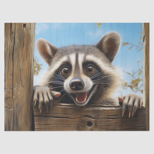 Schattigee Racoon Dier Decoupage Tissuepapier (Voorkant)