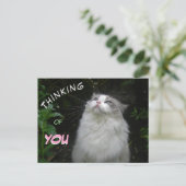 Schattigee Ragdoll Kat DENKEN aan JOU Briefkaart (Staand voorkant)